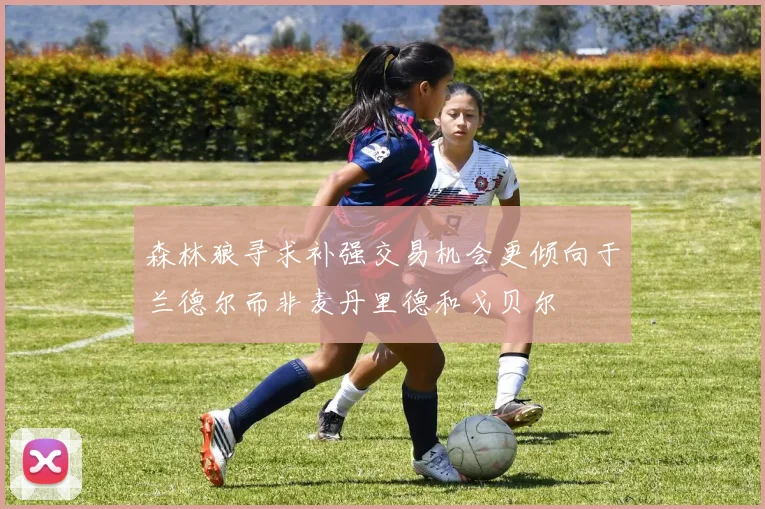 森林狼寻求补强交易机会更倾向于兰德尔而非麦丹里德和戈贝尔